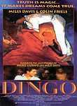 Dingo