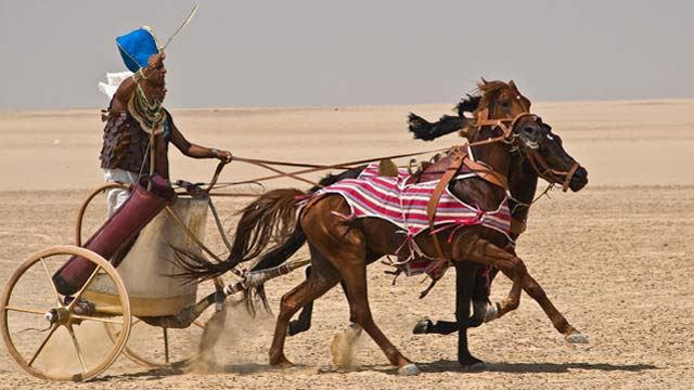 Building Pharaoh's Chariot